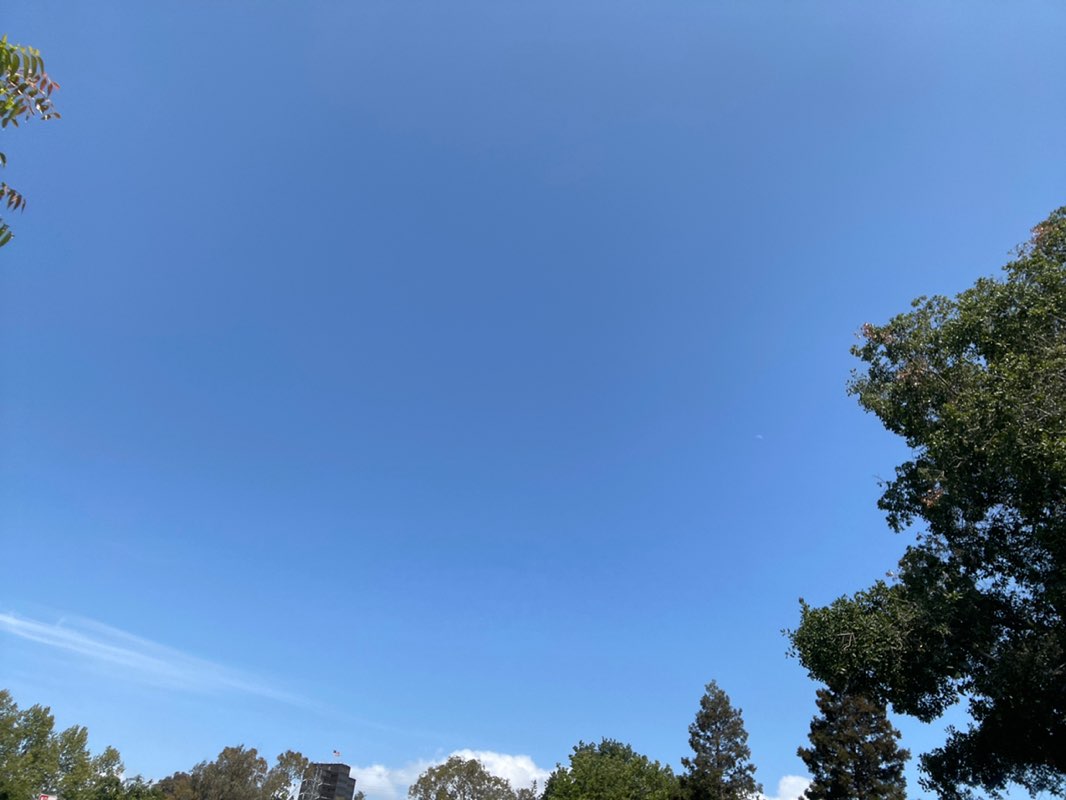 walking near me in Campbell Park in spring