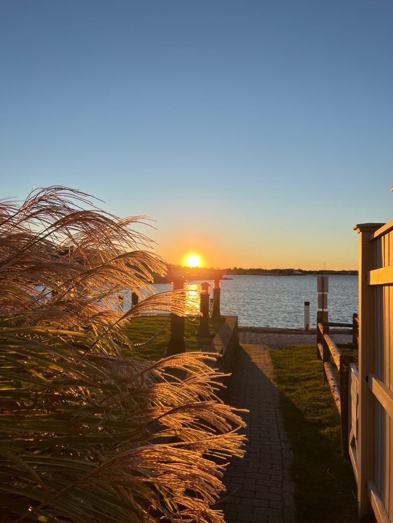 walking near me in Spencer Park in winter
