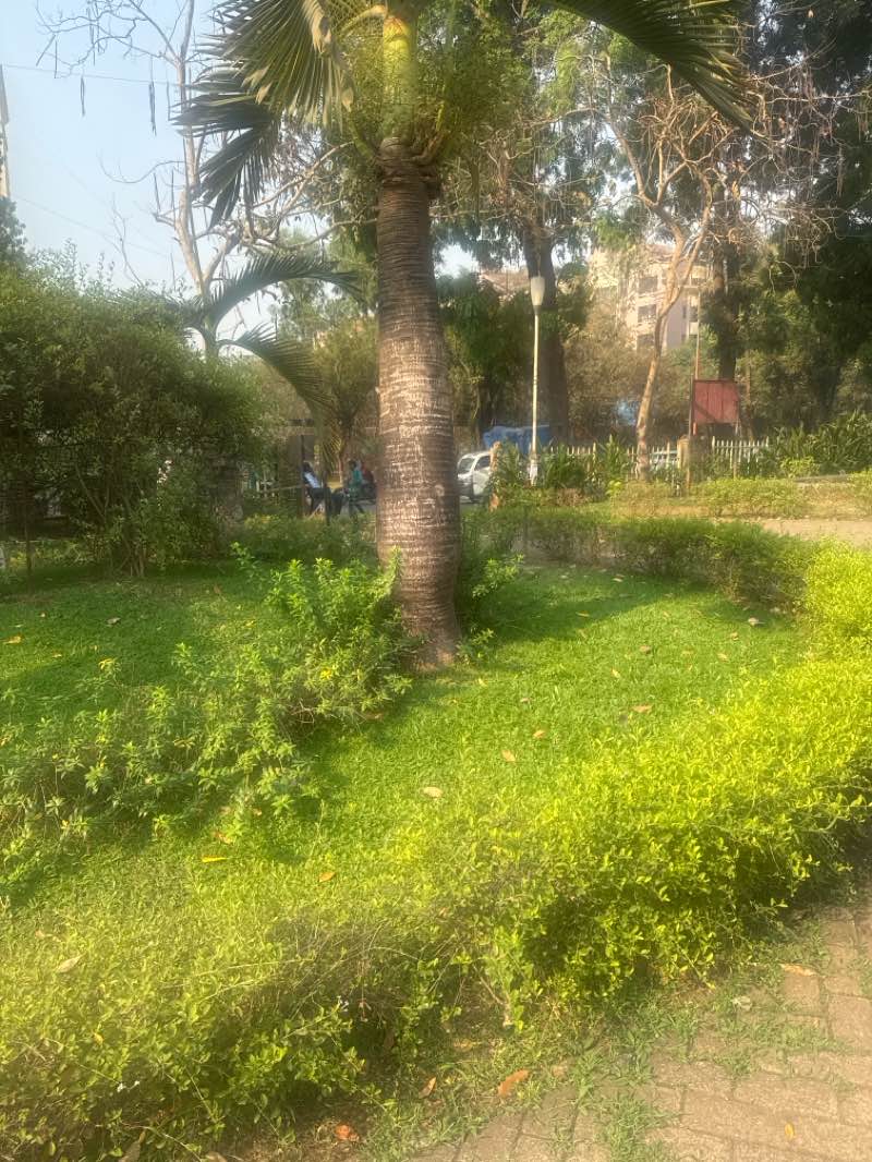 walking near me in Westview Park in spring