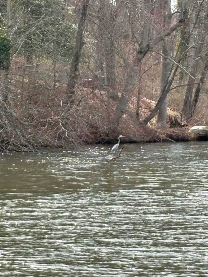 walking near me in Bridgeton City Park in spring