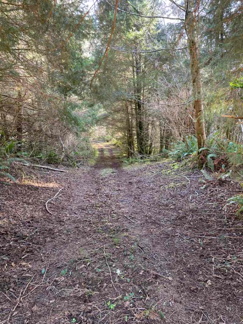 walking near me in Carl G. Washburne Memorial State Park in winter