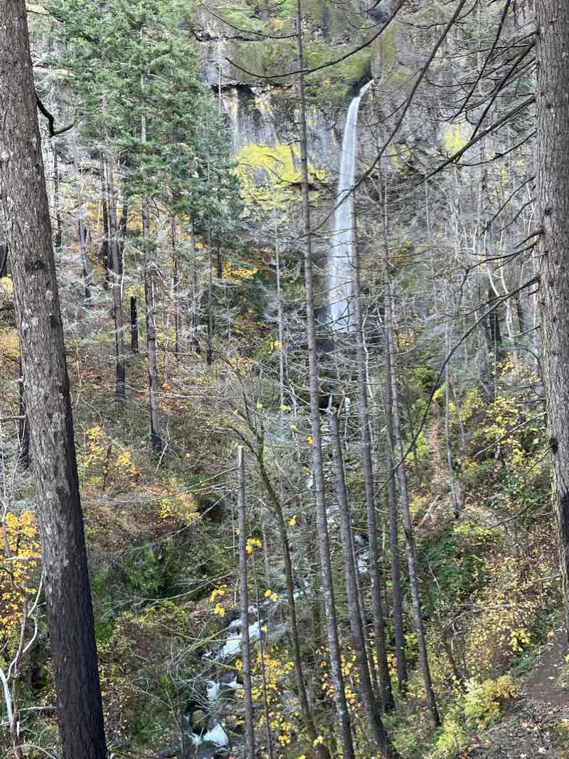walking near me in Shepperd's Dell State Natural Area in winter