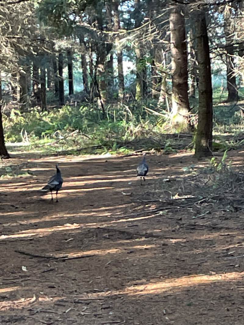 walking near me in Riverfront Park in winter