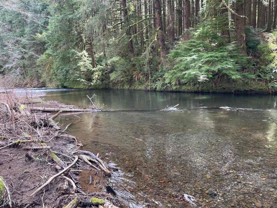 walking near me in Cummins Creek Wilderness in winter