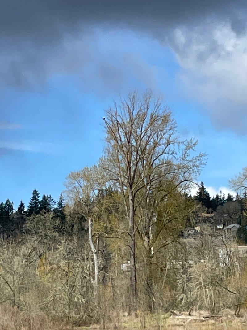 walking near me in Union Street Railroad Bridge in winter