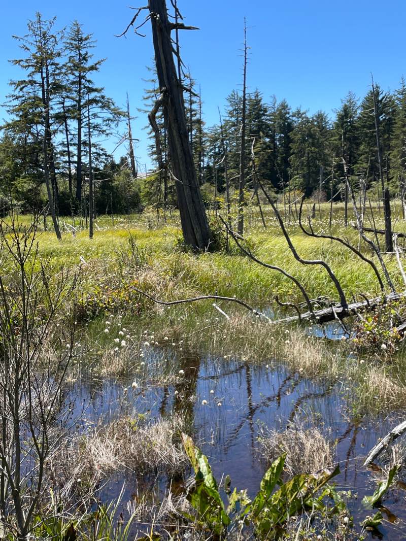 walking near me in Brian Booth State Park in winter
