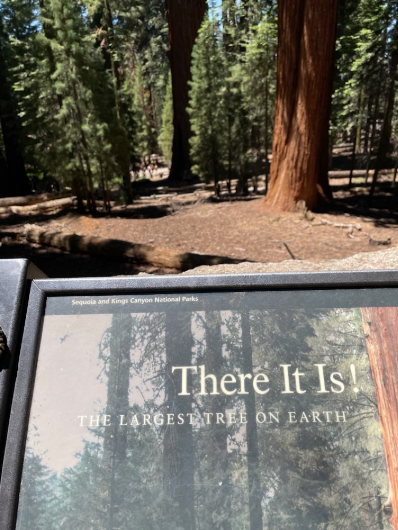 walking near me in Sequoia National Park in winter