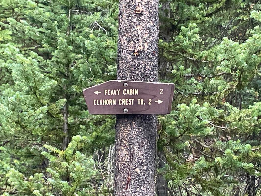 walking near me in North Fork John Day Wilderness - Baldy Unit in winter
