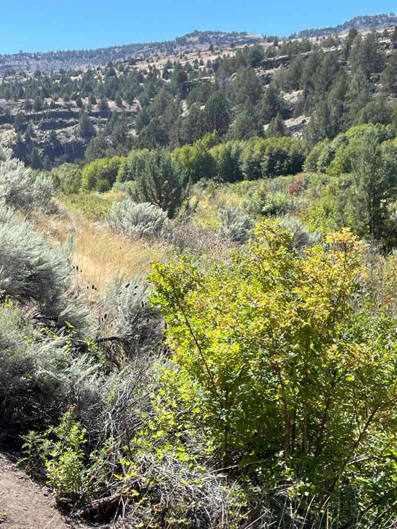 walking near me in Steens Mountain Wilderness in winter
