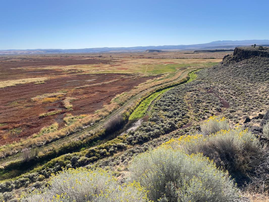 walking near me in Malheur National Wildlife Refuge in winter