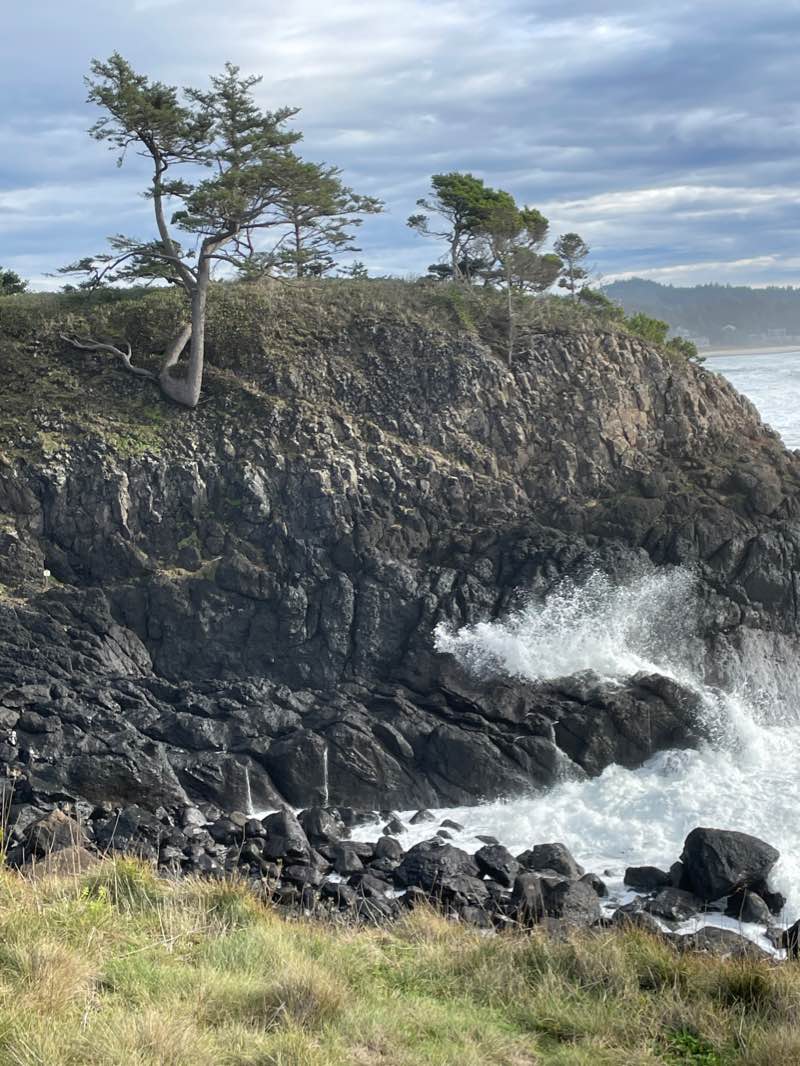 walking near me in Otter Rock Marine Reserve in winter