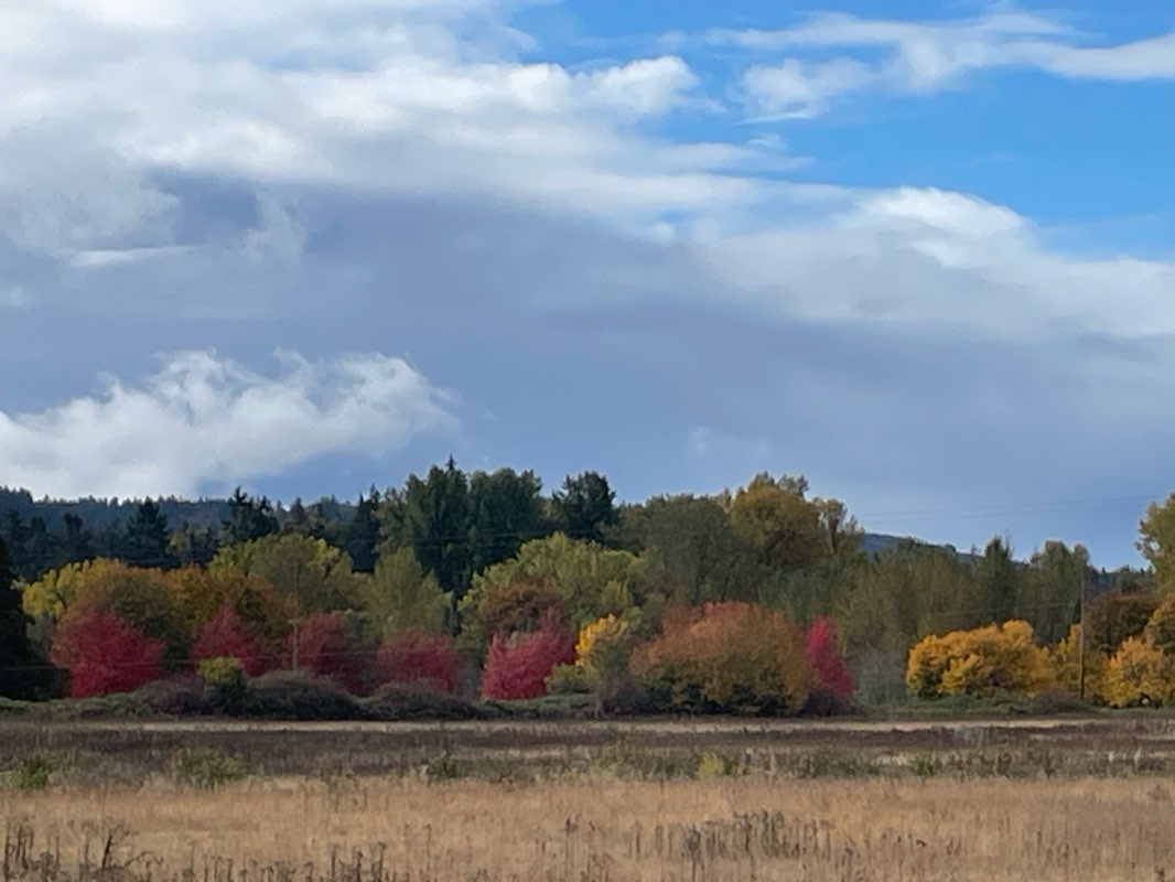 walking near me in Union Street Railroad Bridge in winter