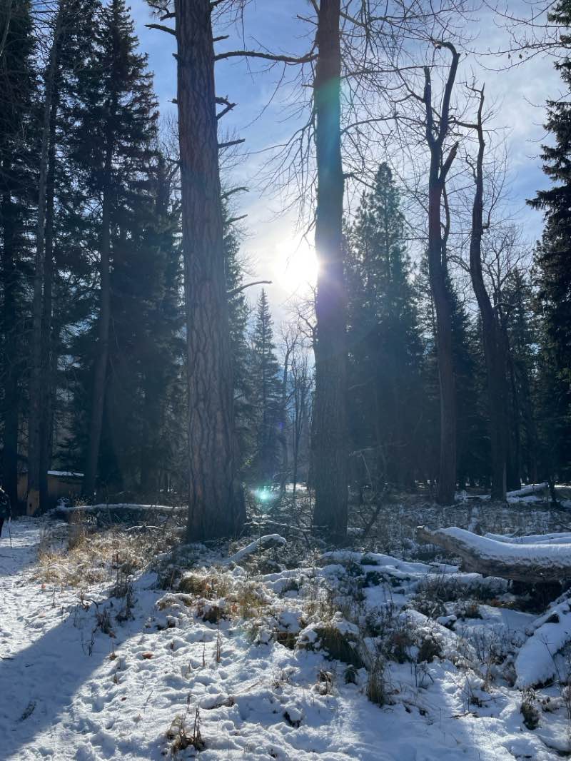 walking near me in Wallowa Lake State Recreation Area in winter