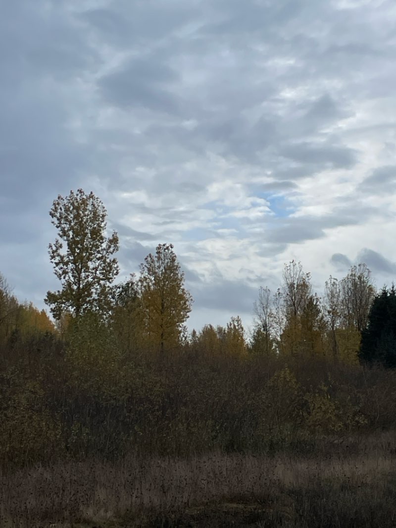 walking near me in Wallace Marine Park in winter