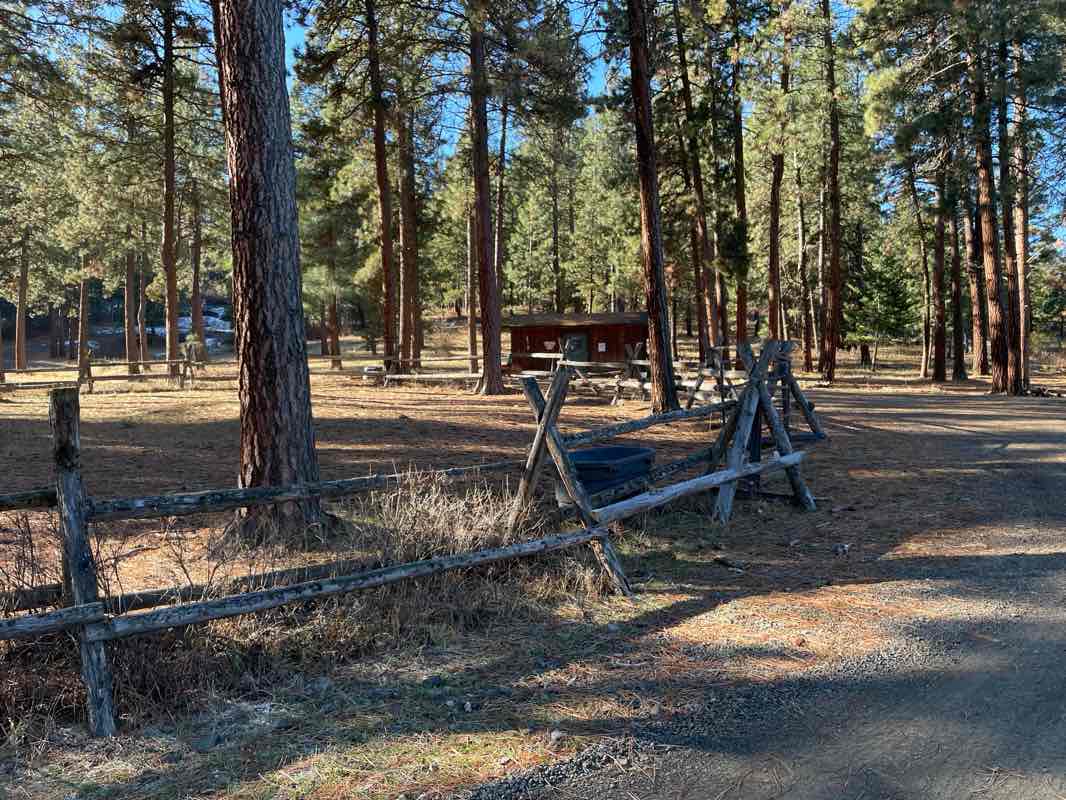 walking near me in Candy Cane Park in winter