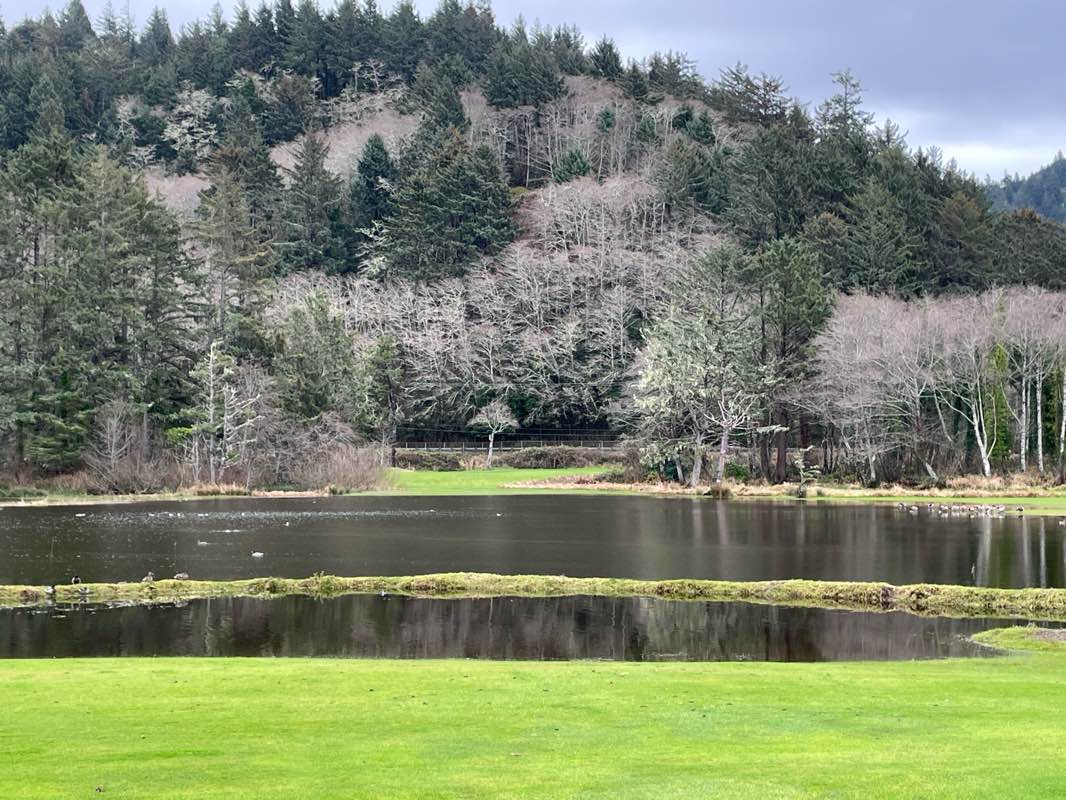 walking near me in Neskowin Beach State Recreation Site in winter
