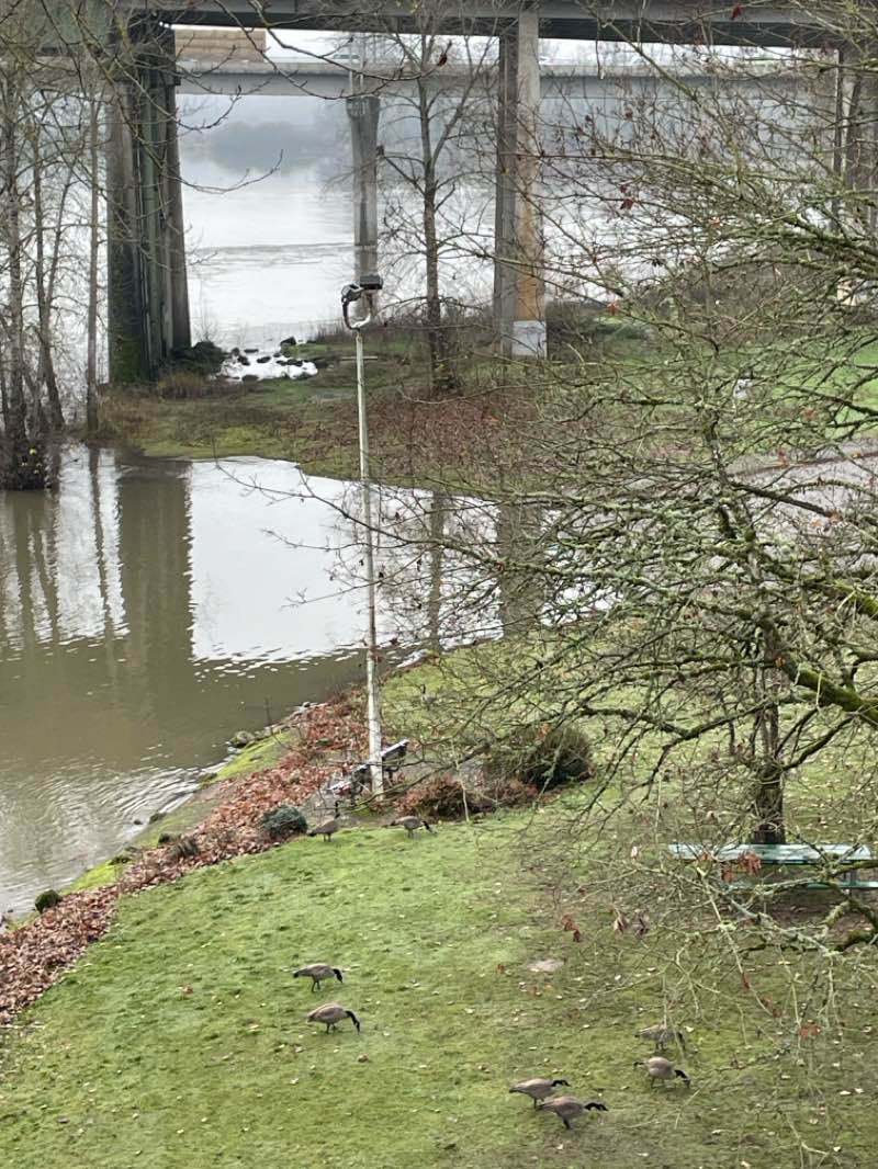 walking near me in Riverfront Park in winter