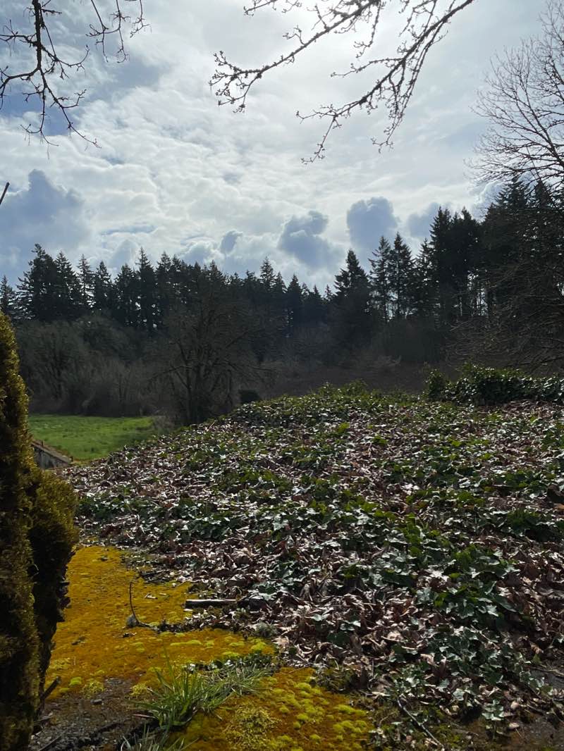 walking near me in West Salem High School Park in winter