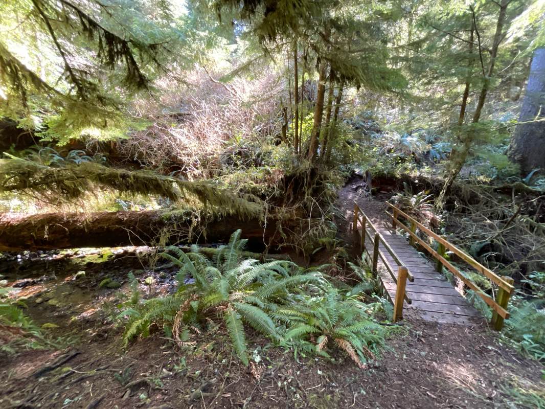 walking near me in Cape Meares State Scenic Viewpoint in winter