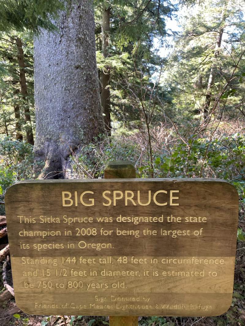 walking near me in Cape Meares National Wildlife Refuge in winter