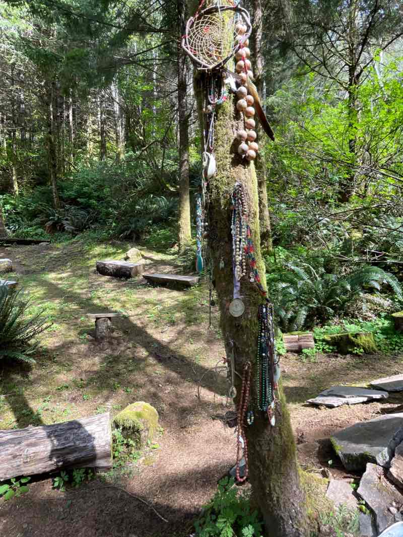 walking near me in Cape Perpetua North Marine Protected Area in winter