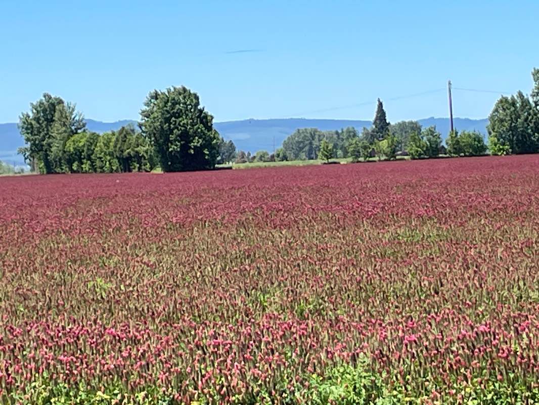 walking near me in Riverview City Park in winter