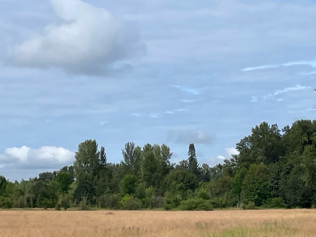 walking near me in Union Street Railroad Bridge in winter