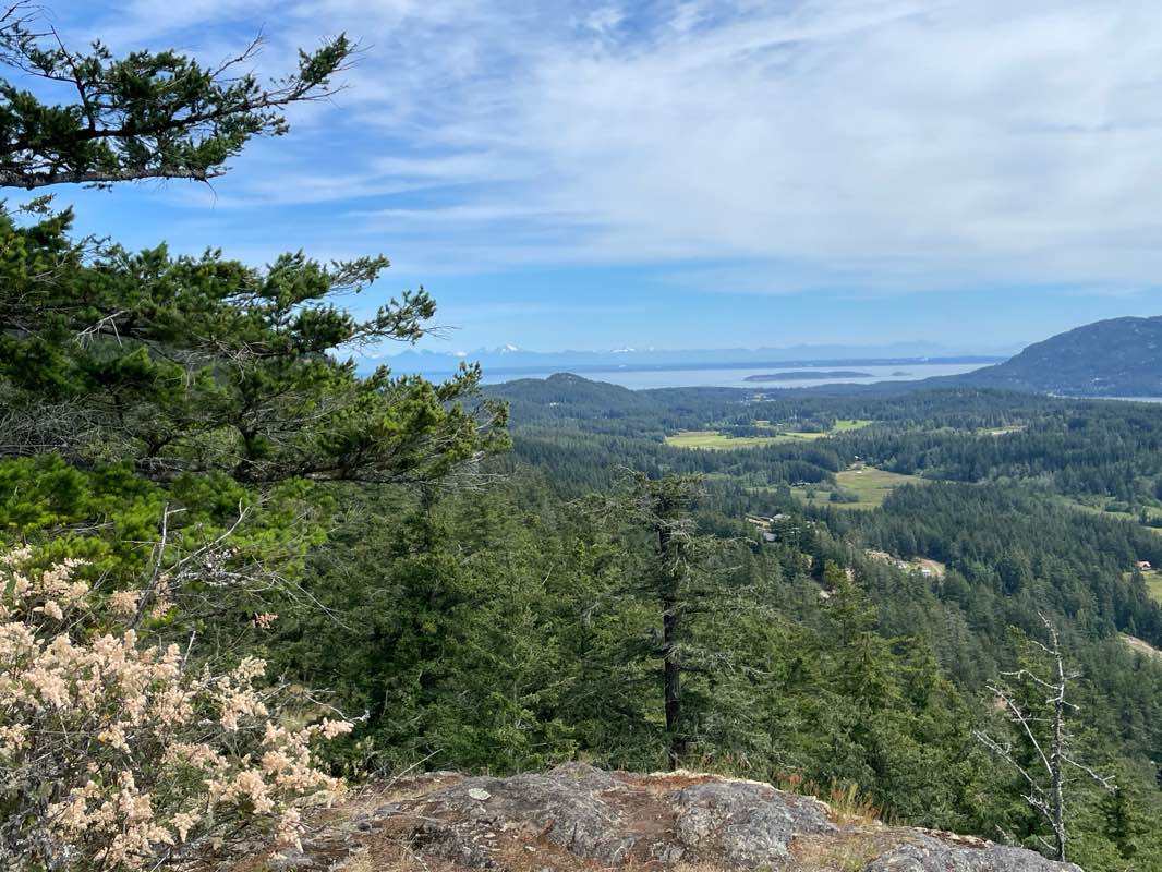 walking near me in Turtleback Mountain Preserve in winter