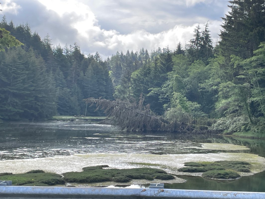 walking near me in Don Davis Park in winter