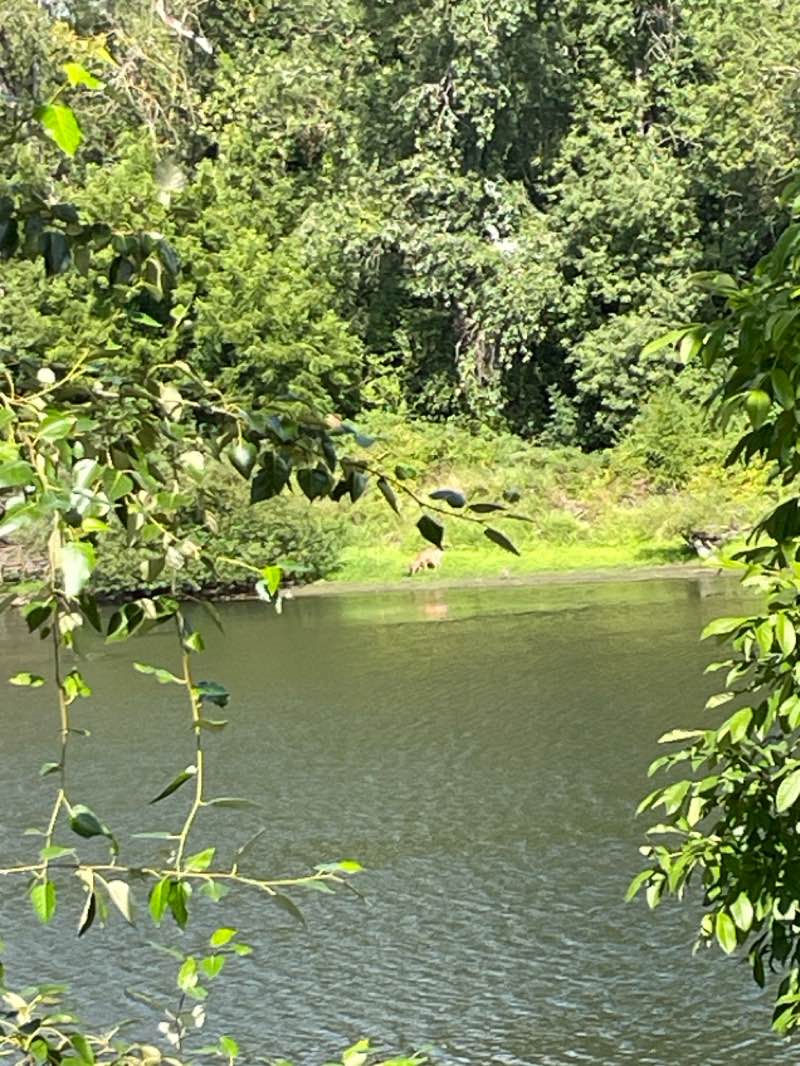 walking near me in Livingston Park in winter
