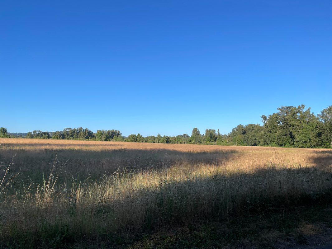 walking near me in Riverfront Park in winter