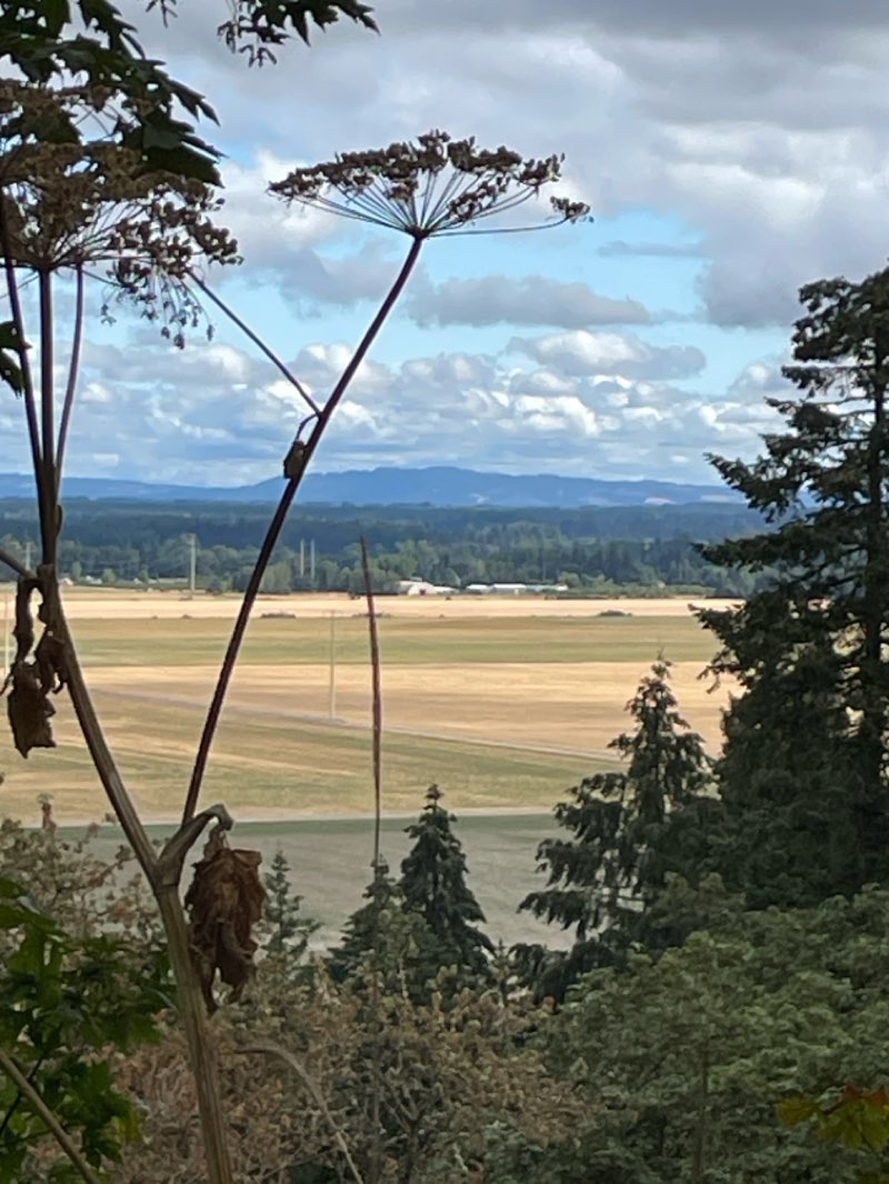 walking near me in Willamette Manor Park in winter
