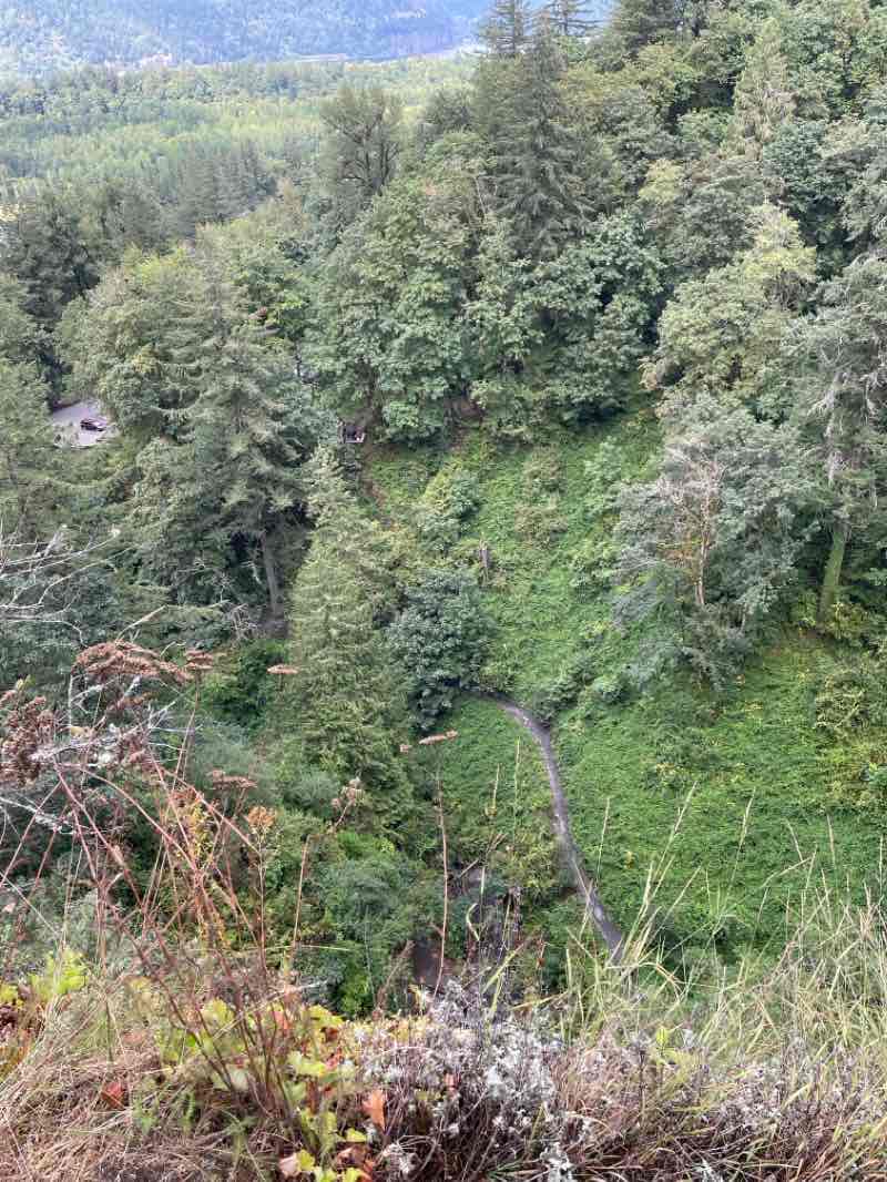 walking near me in Guy W. Talbot State Park in winter