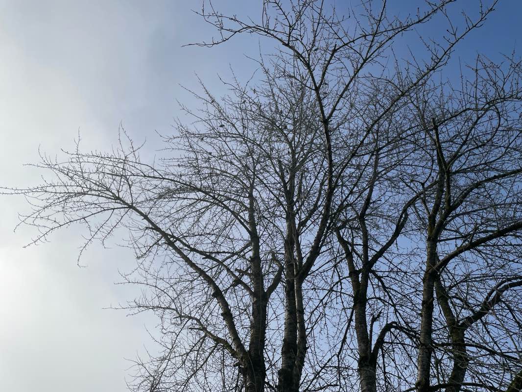 walking near me in Aumsville Ponds County Park in winter