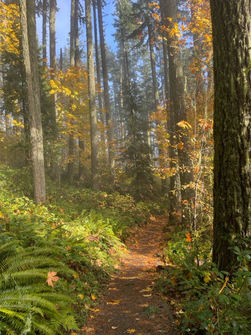 walking near me in Blanton Ridge in autumn