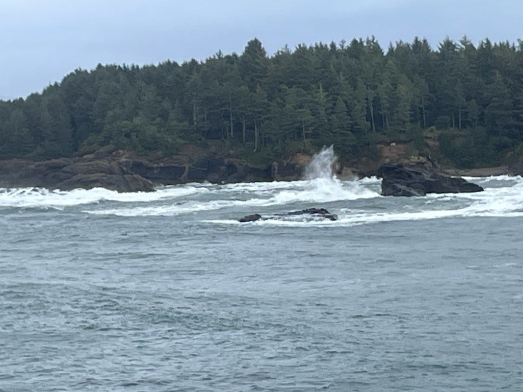 walking near me in Boiler Bay State Scenic Viewpoint in autumn