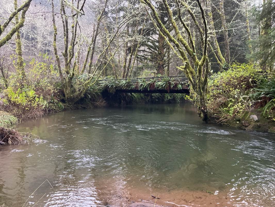walking near me in Stonefield Beach State Recreation Site in winter
