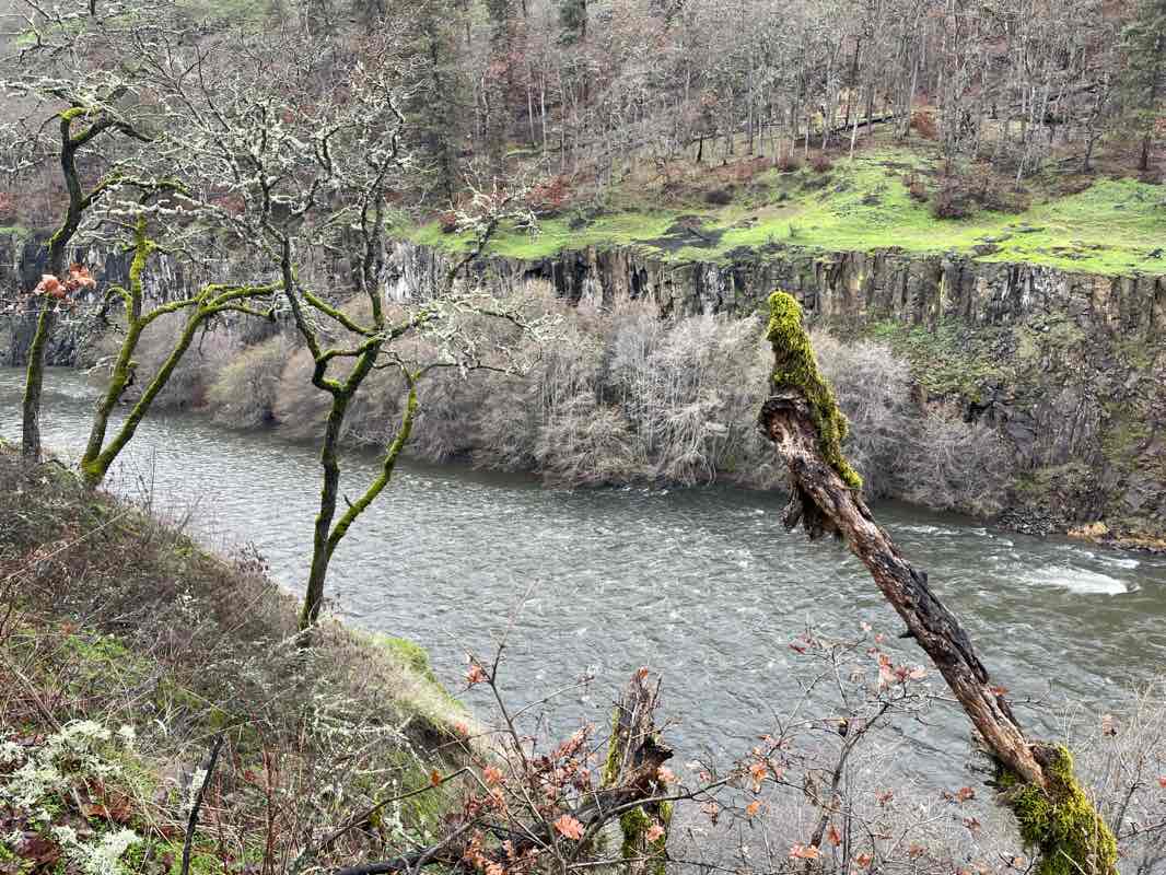 walking near me in Dillacort Canyon Wildlife Area in winter