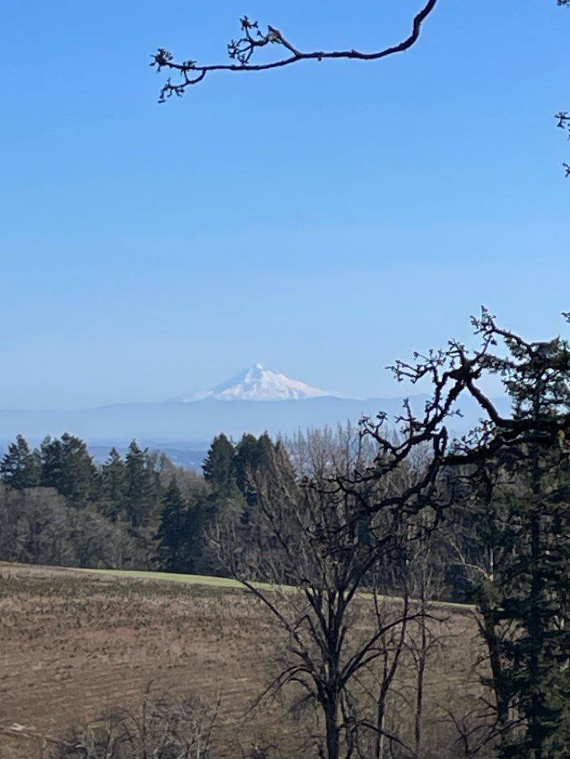 walking near me in Straub Nature Park in winter