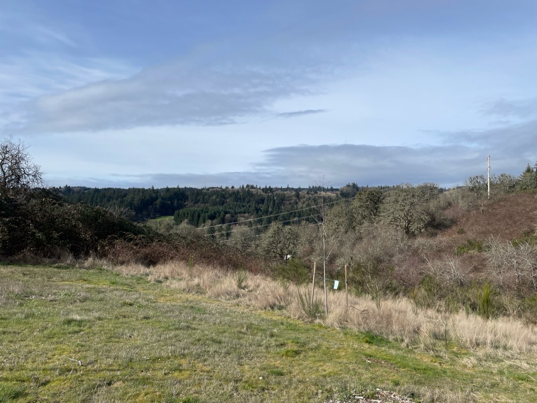 walking near me in Brush College Park in spring