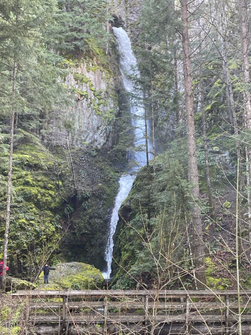 walking near me in Starvation Creek State Park in spring
