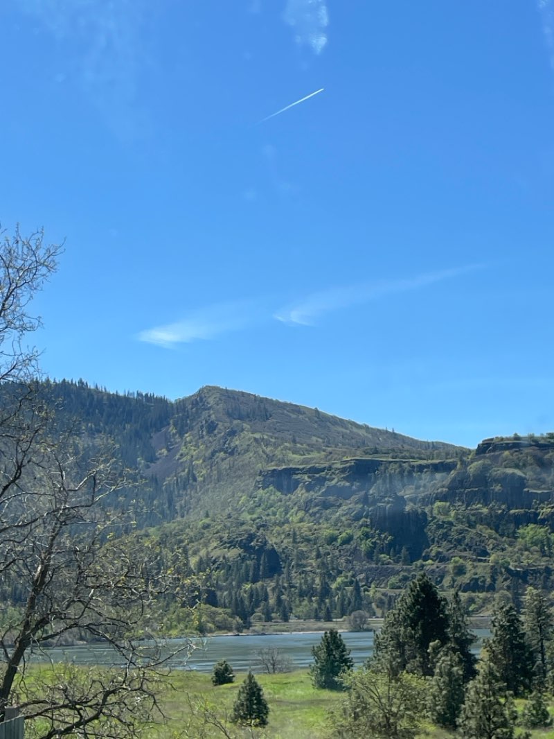 walking near me in Riverfront Park in spring