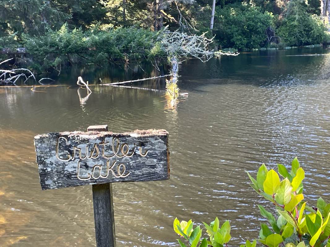 walking near me in Seal Rock State Recreation Site in autumn