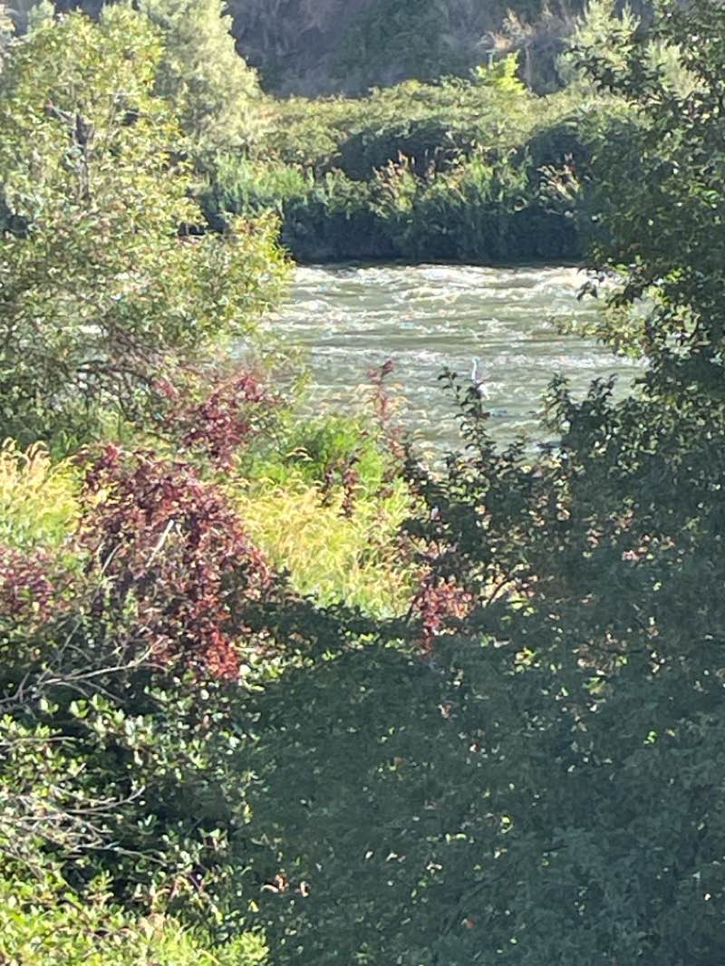 walking near me in Moore Park in autumn