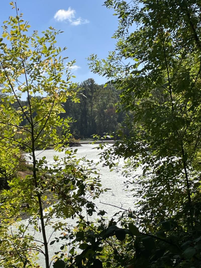 walking near me in Minto-Brown Island Park in autumn