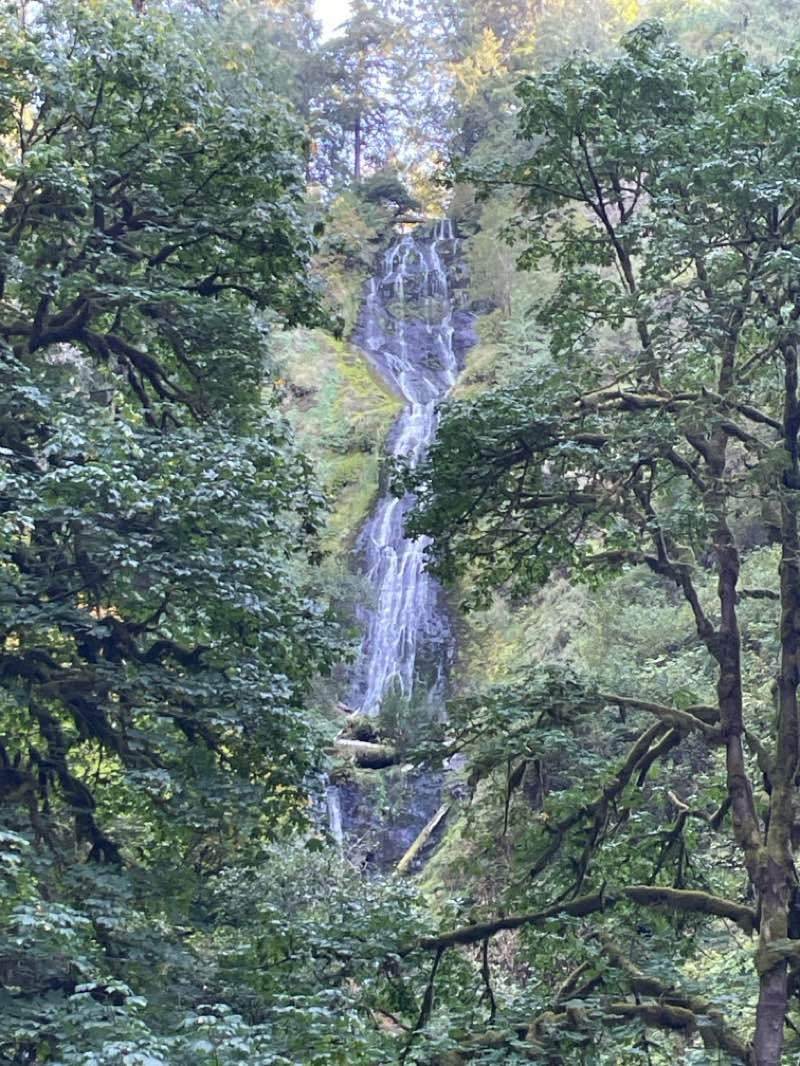 walking near me in Munson Creek Falls State Natural Site in autumn