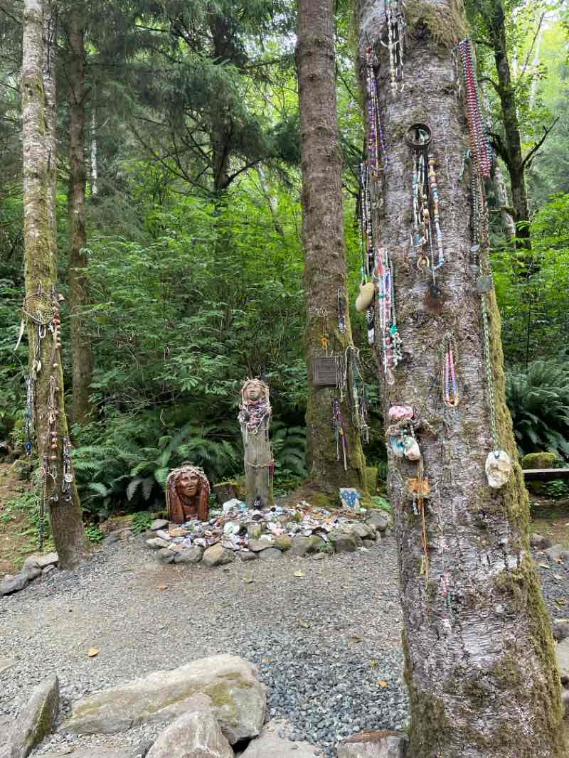 walking near me in Siuslaw National Forest in autumn