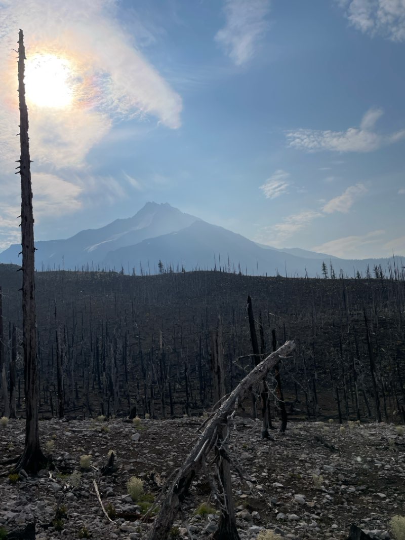 walking near me in Mount Jefferson Wilderness in autumn