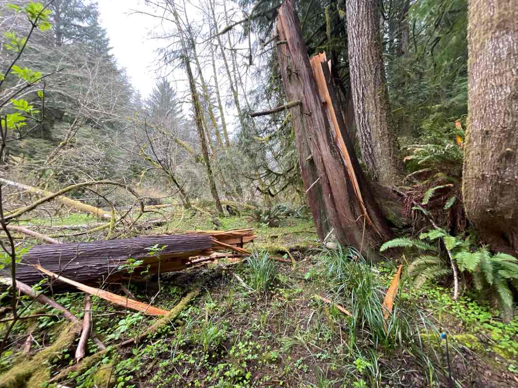 walking near me in Rock Creek Wilderness in spring