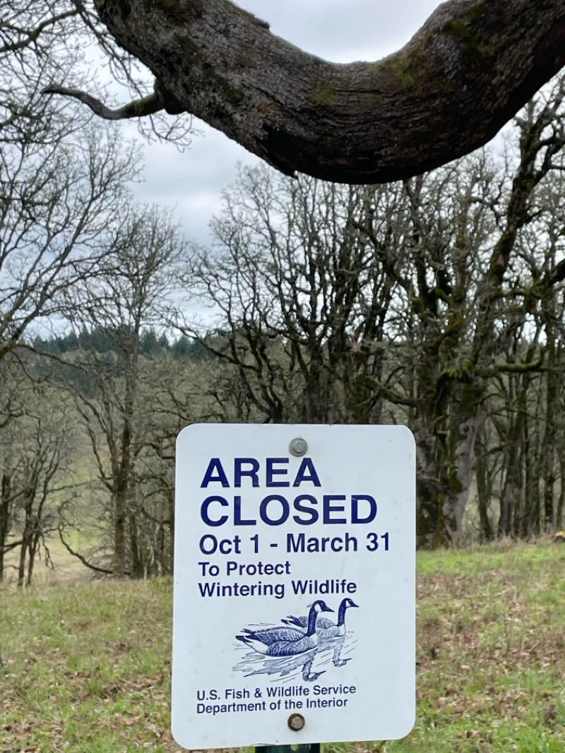 walking near me in Baskett Slough National Wildlife Refuge in spring